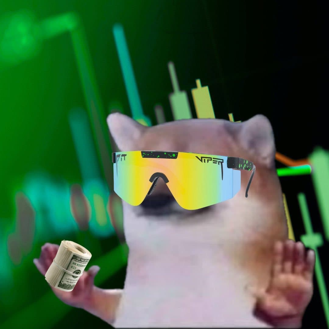 bro in pit vipers holding a roll of cash